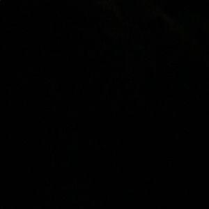 Meet your Posher, Jonah